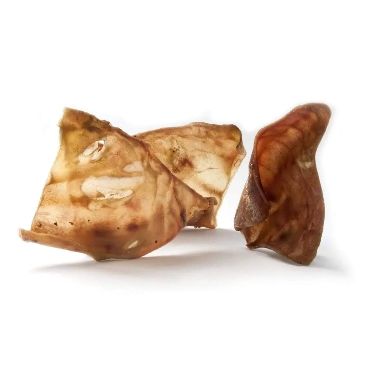 Nova Dog Chews Large Pig Ear