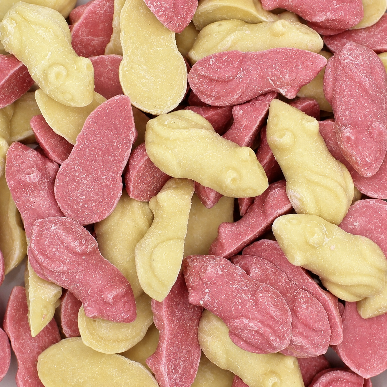Pink & White Mice