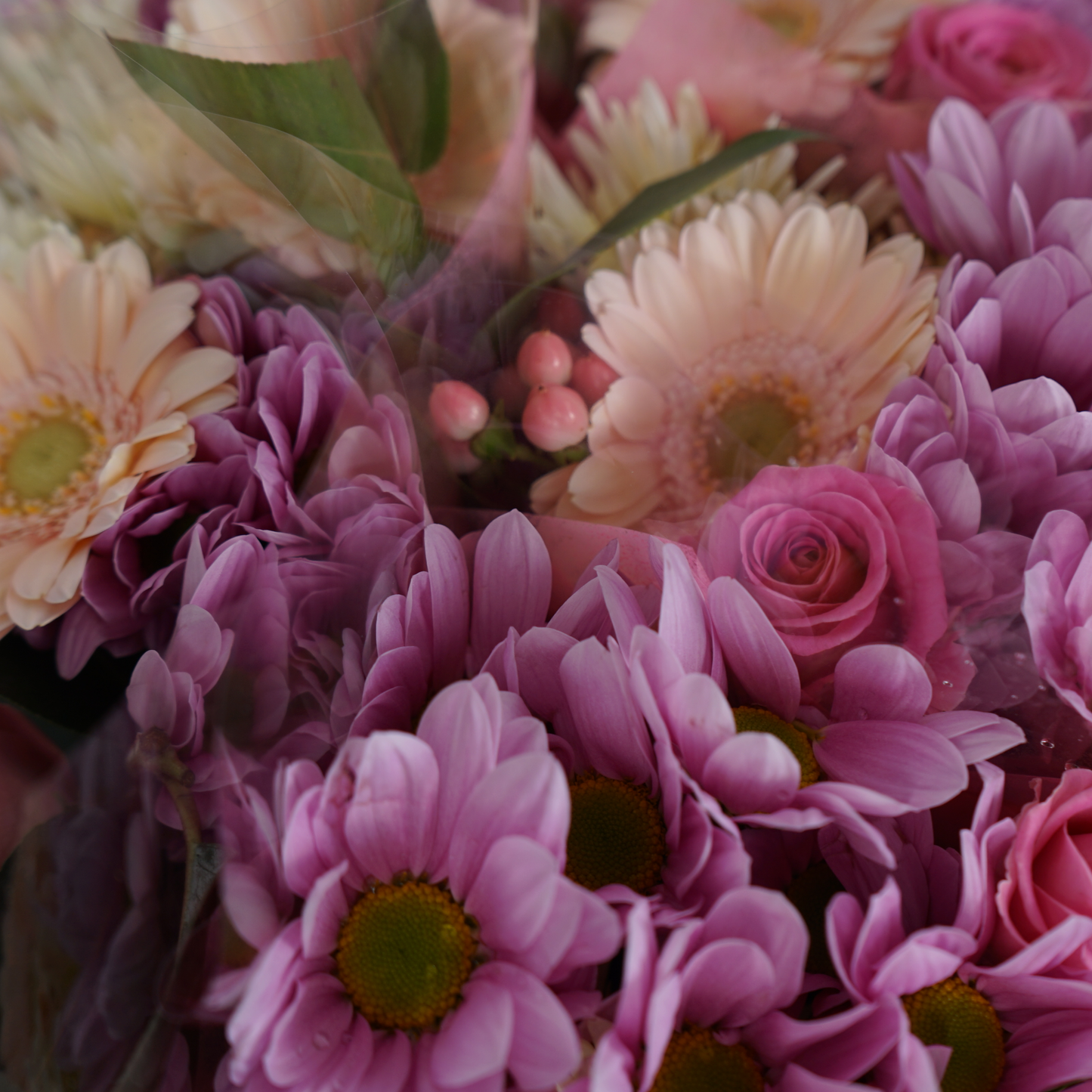 5 Stem Pink Bouquet (10 Bunches)
