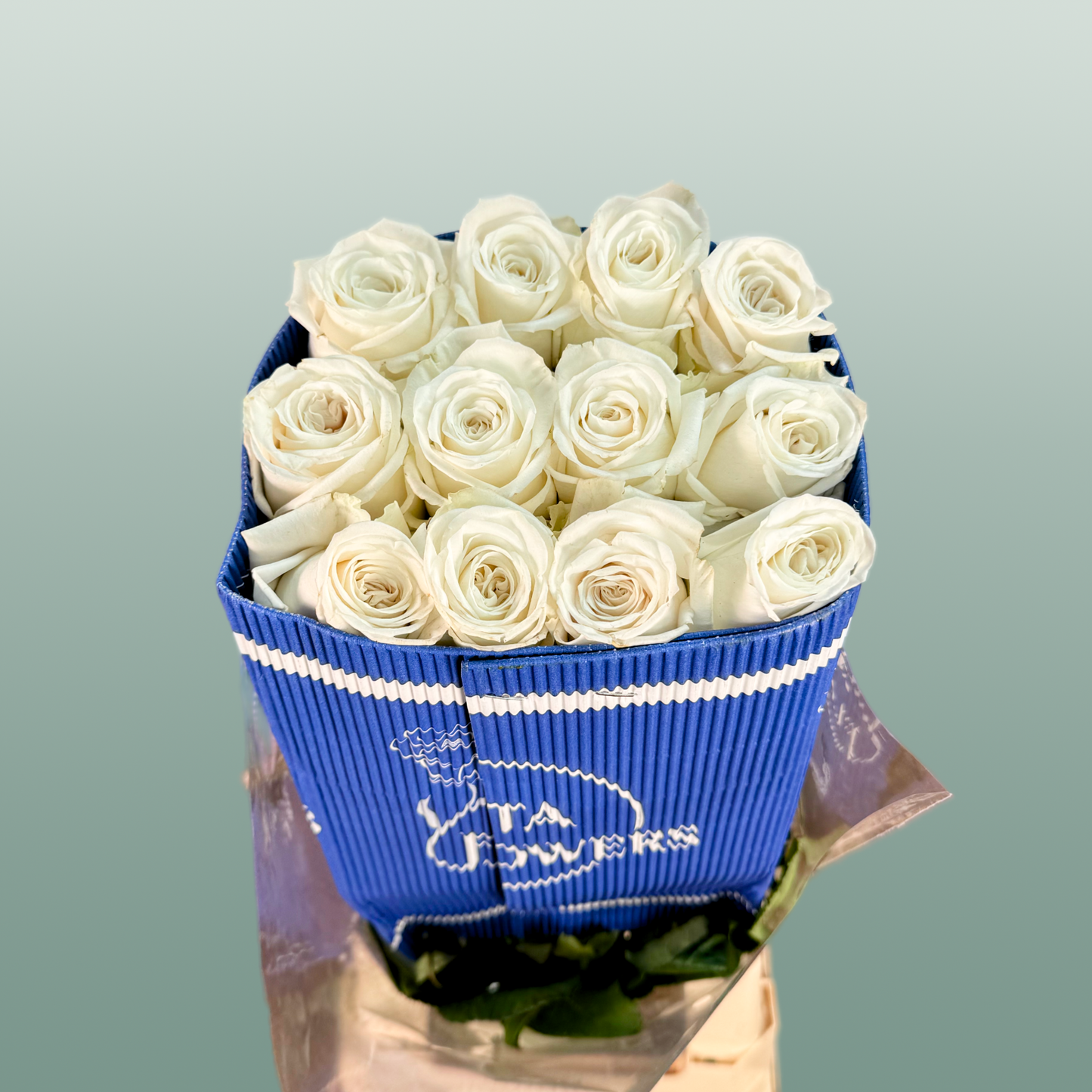 Rose Playa Blanca