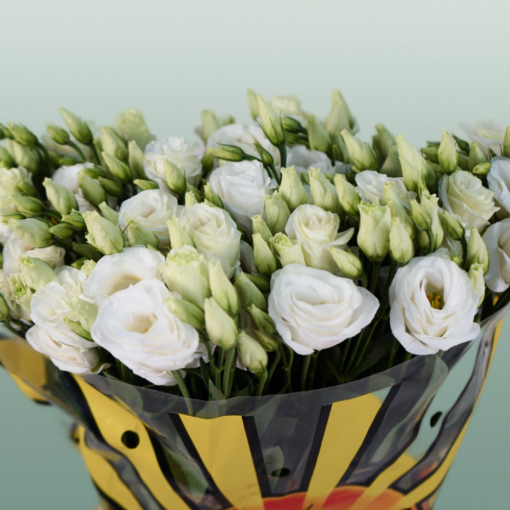 White Lisianthus ‘Rosita White’ – 70cm Cut Stems