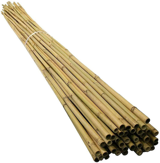 50 x 5FT Bamboo Canes 150 CM