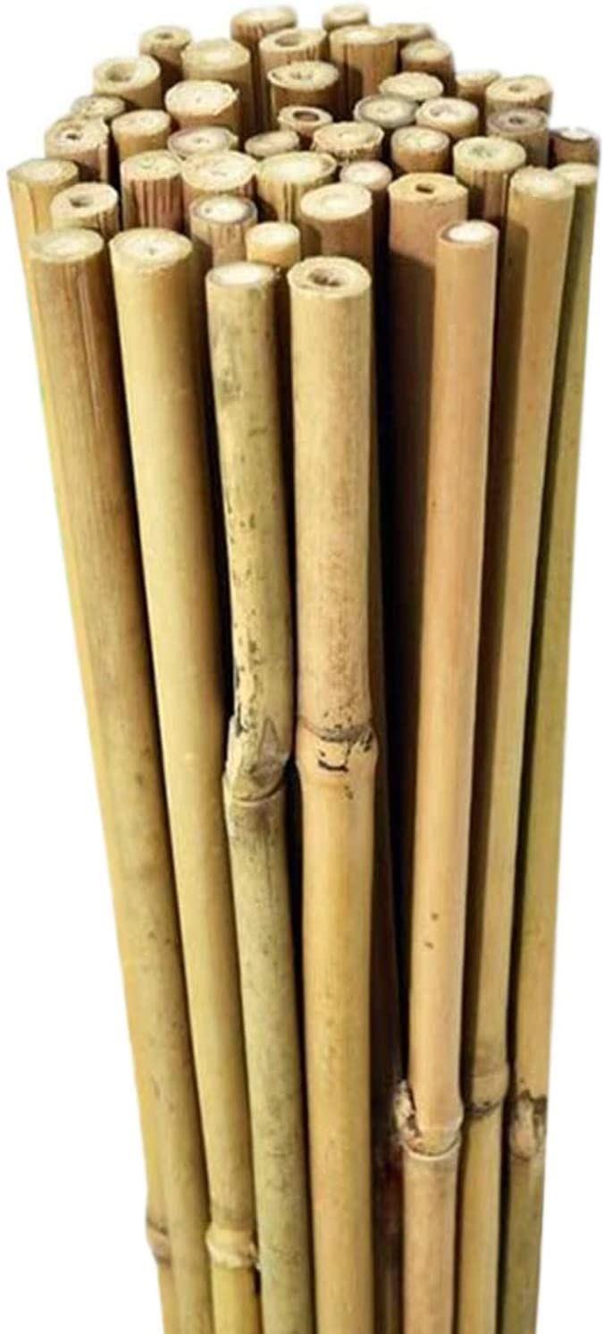 50 x 5FT Bamboo Canes 150 CM