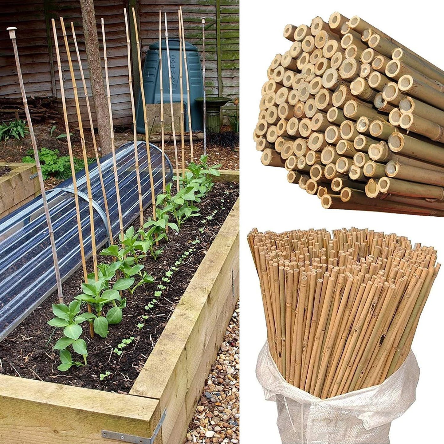 50 x 5FT Bamboo Canes 150 CM