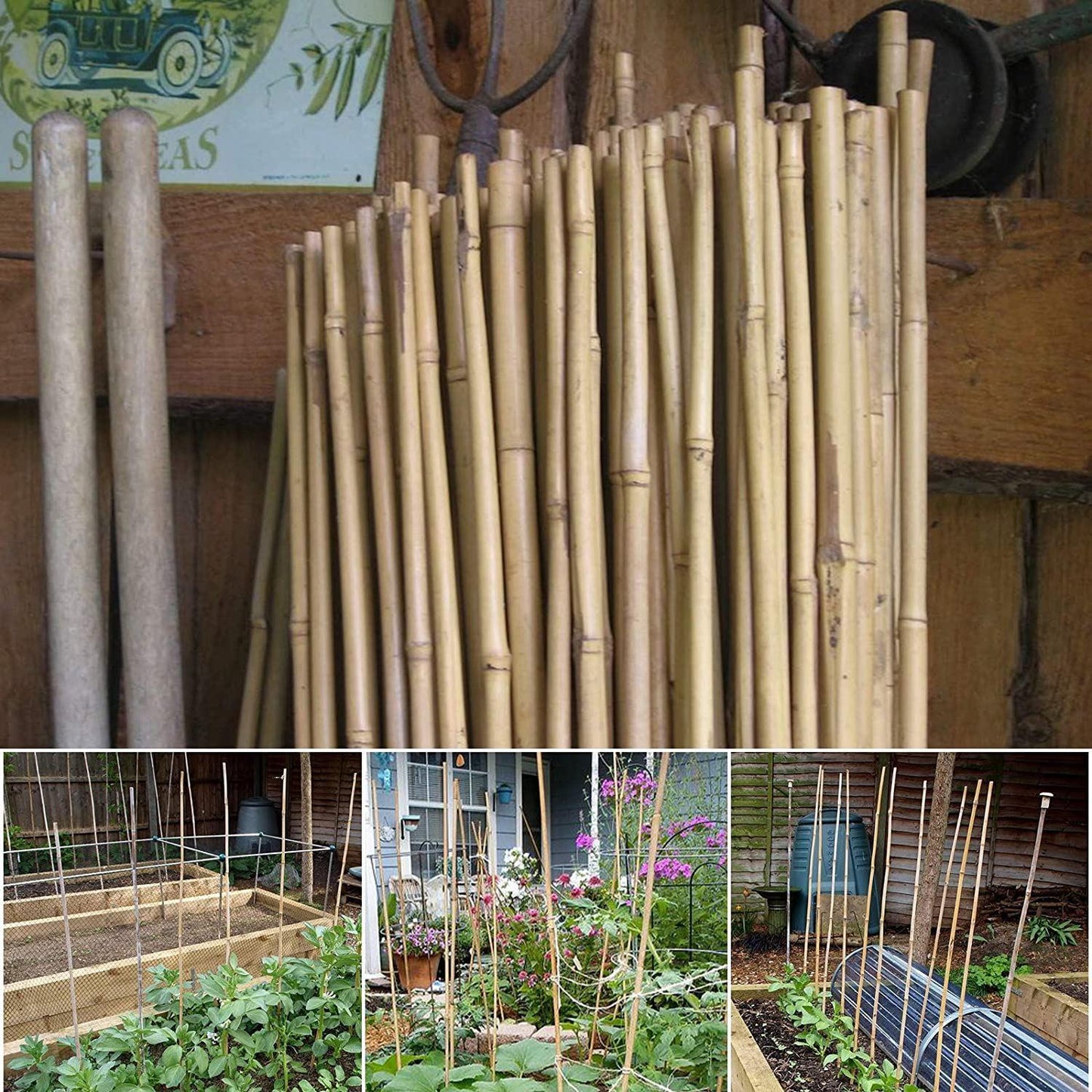 40 x 5FT Bamboo Canes 150 CM
