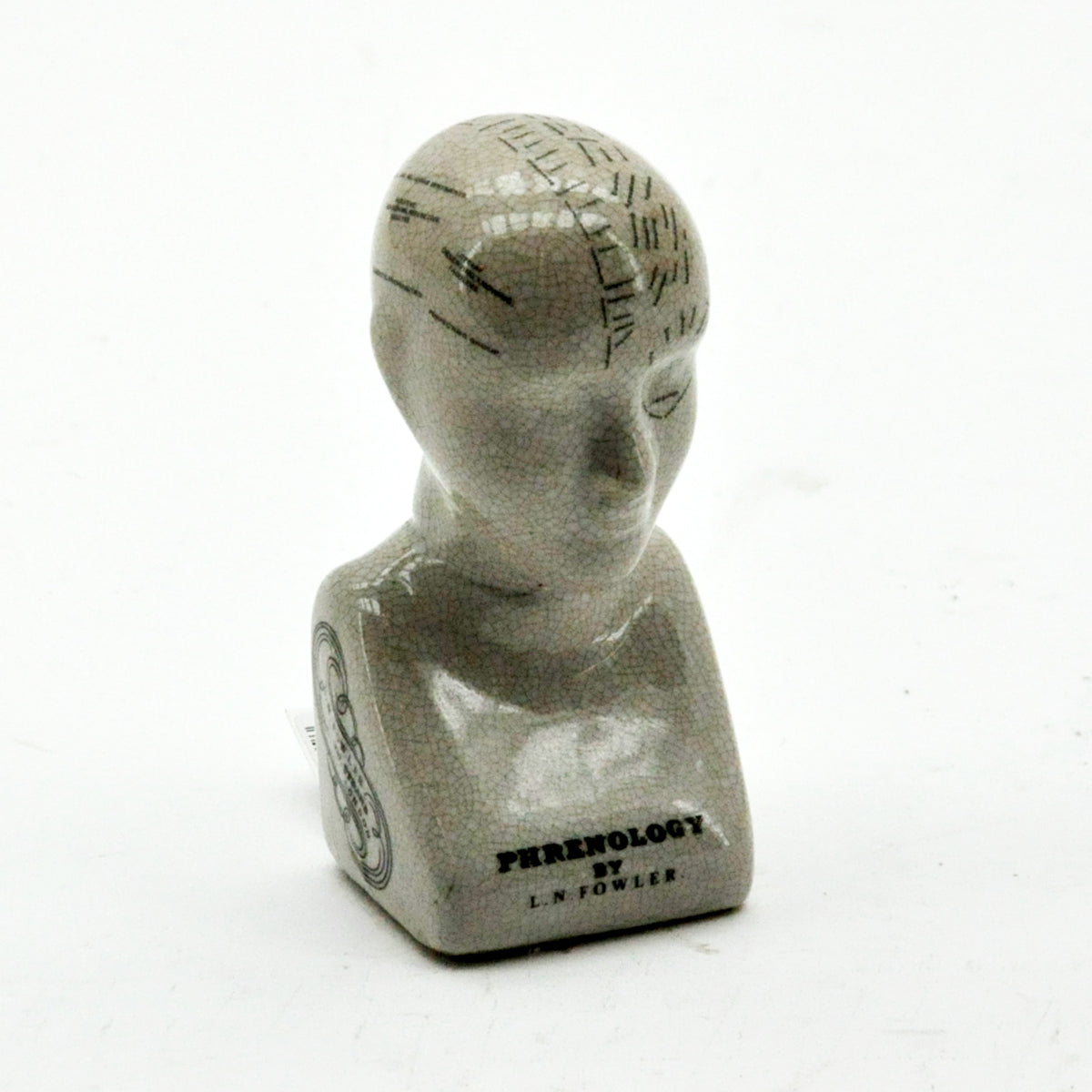 6" PHRENOLOGY HEAD CERAMIC