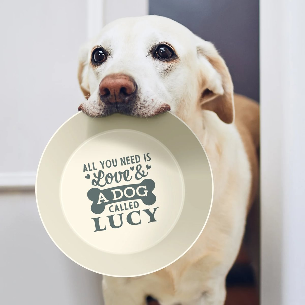 Pre-personalised Recycled Dog Bowl - Featuring Popular Breeds, Dogs and Names