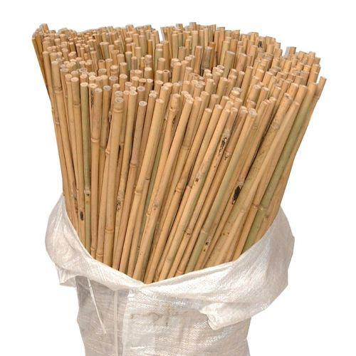 10 x 5FT Bamboo Canes 150 CM