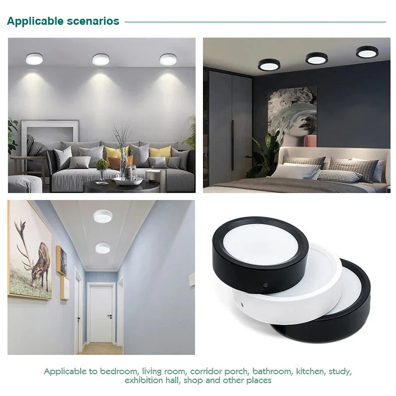 Led  220V Ceiling Downlights