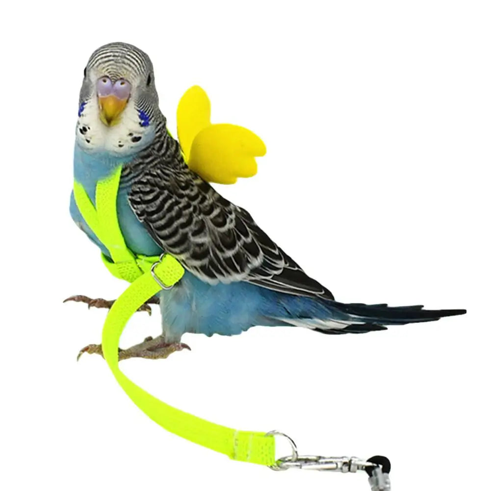 5.png