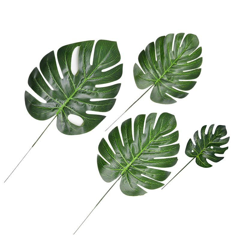 S1005002449556457_15.jpg