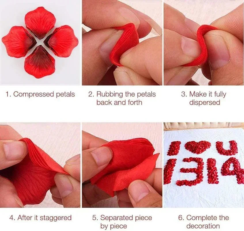 S1005002830811877_15.jpg