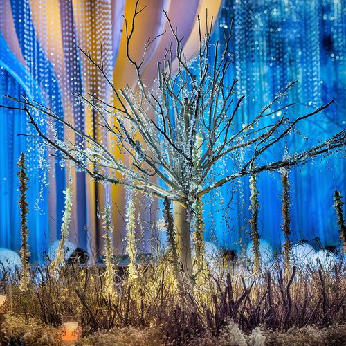 S1005003739597919_13.jpg