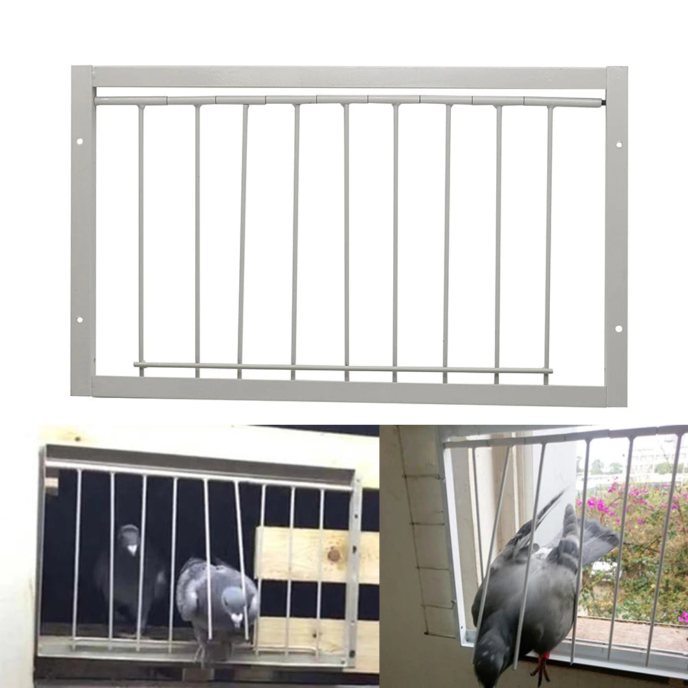 main.png