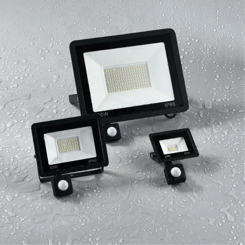 Motion Sensor LED Flood Light