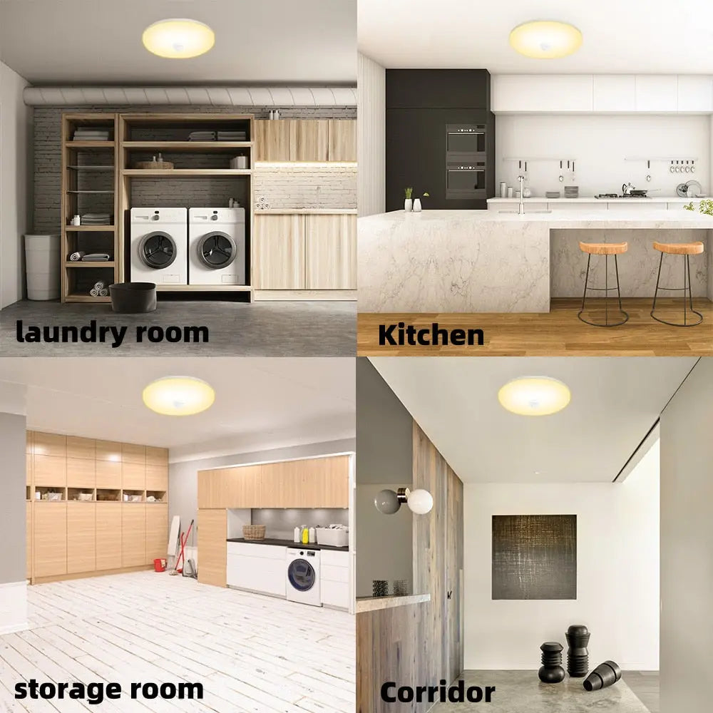 Motion Sensor Ceiling  Light