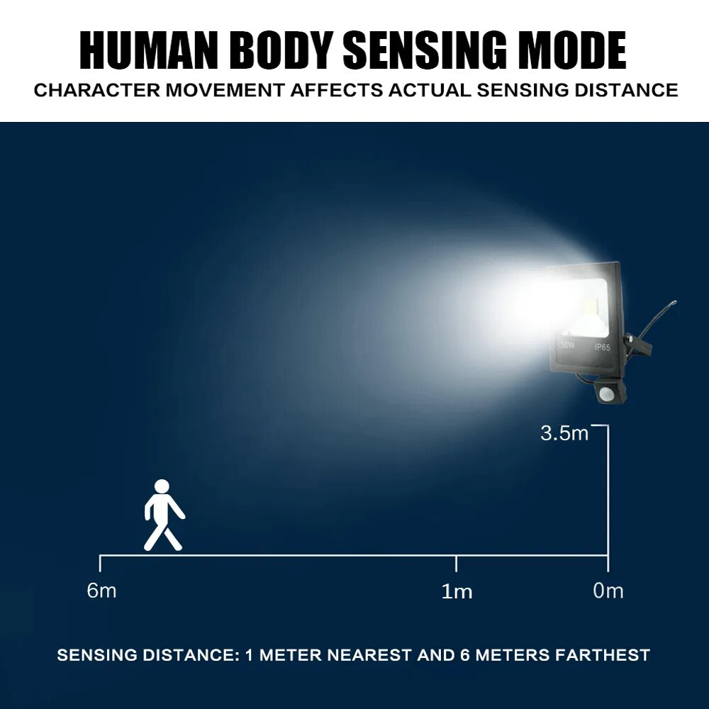 Motion Sensor LED Flood Light