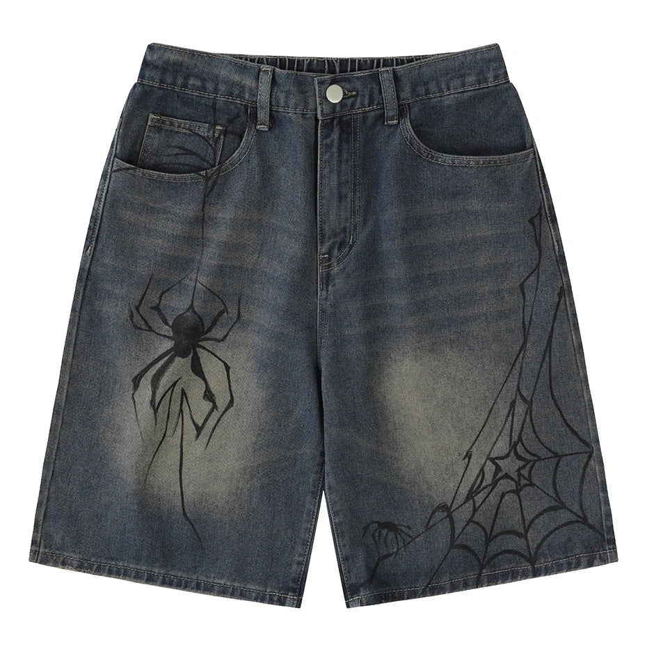 Spider Cobweb