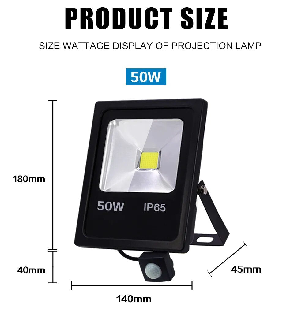 Motion Sensor LED Flood Light