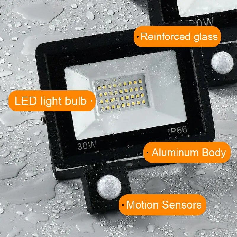 Motion Sensor LED Flood Light