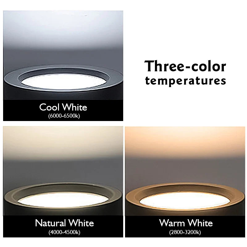 Led  220V Ceiling Downlights