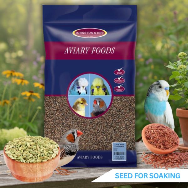 Johnston & Jeff Bird Seed Soaking Seed