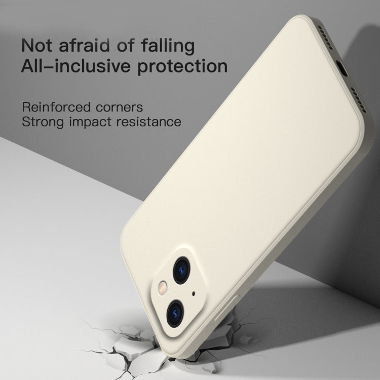 Solid Color Cube Straight Edge Liquid Silicone Lining Flannel Case, For iPhone 13 Pro Max, For iPhone 13
