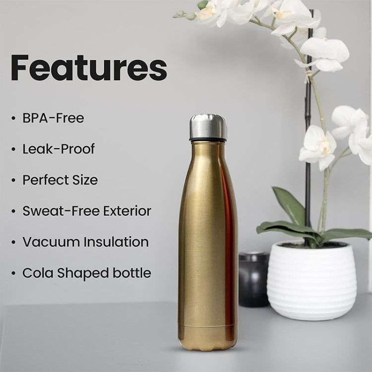 JUNSUNMAY 304 Stainless Steel Double-layer Vacuum Insulated Water Bottle, Capacity:350ml(Golden)