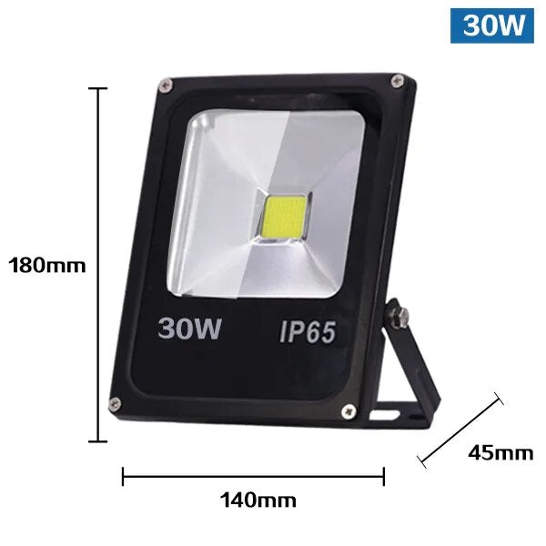 Motion Sensor LED Flood Light