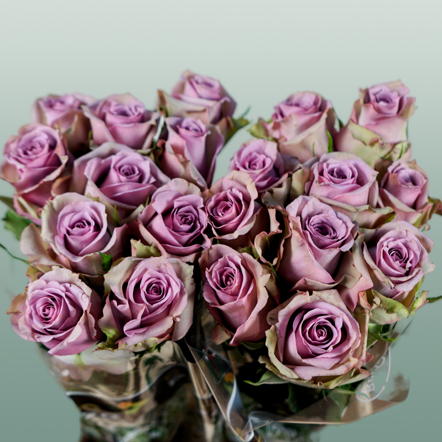 Rose - Rosa - Samantha's Bridal