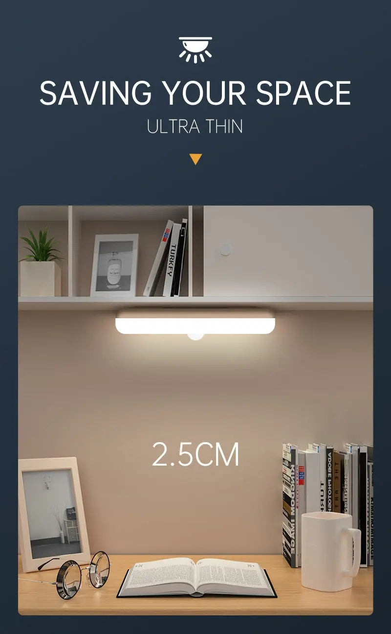 Motion Sensor Ceiling  Light