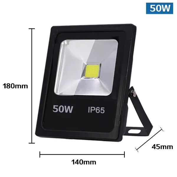 Motion Sensor LED Flood Light