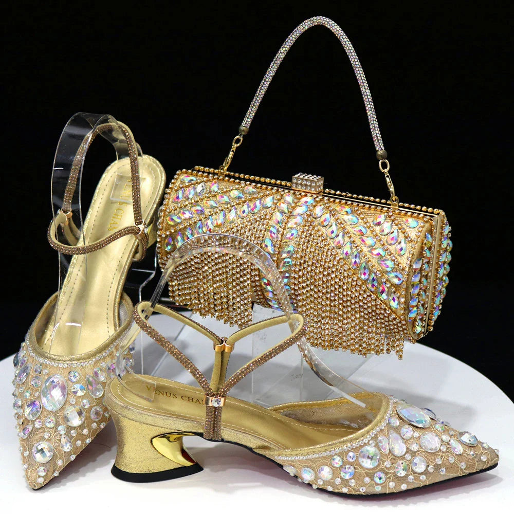 Women's Italian Diamond Lace Designer Matching Shoe and Bag Set