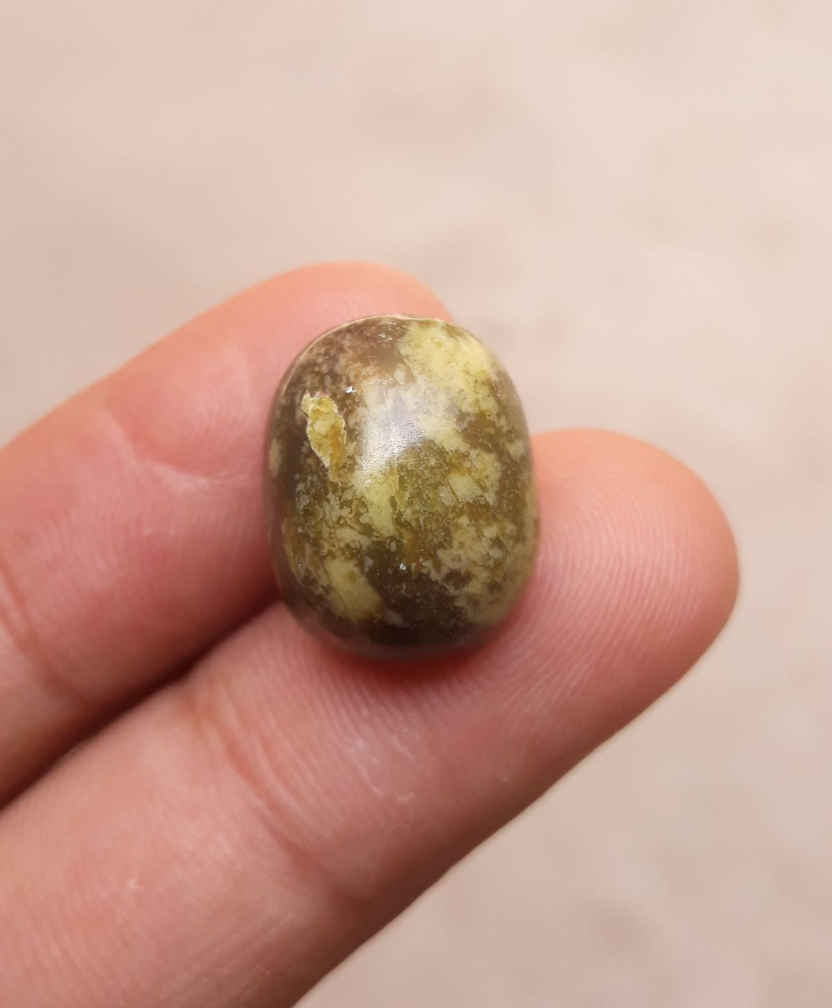 15.7ct Serpentine Cabochon - Shah Maqqsood - Zehrmora - 16.9x13mm