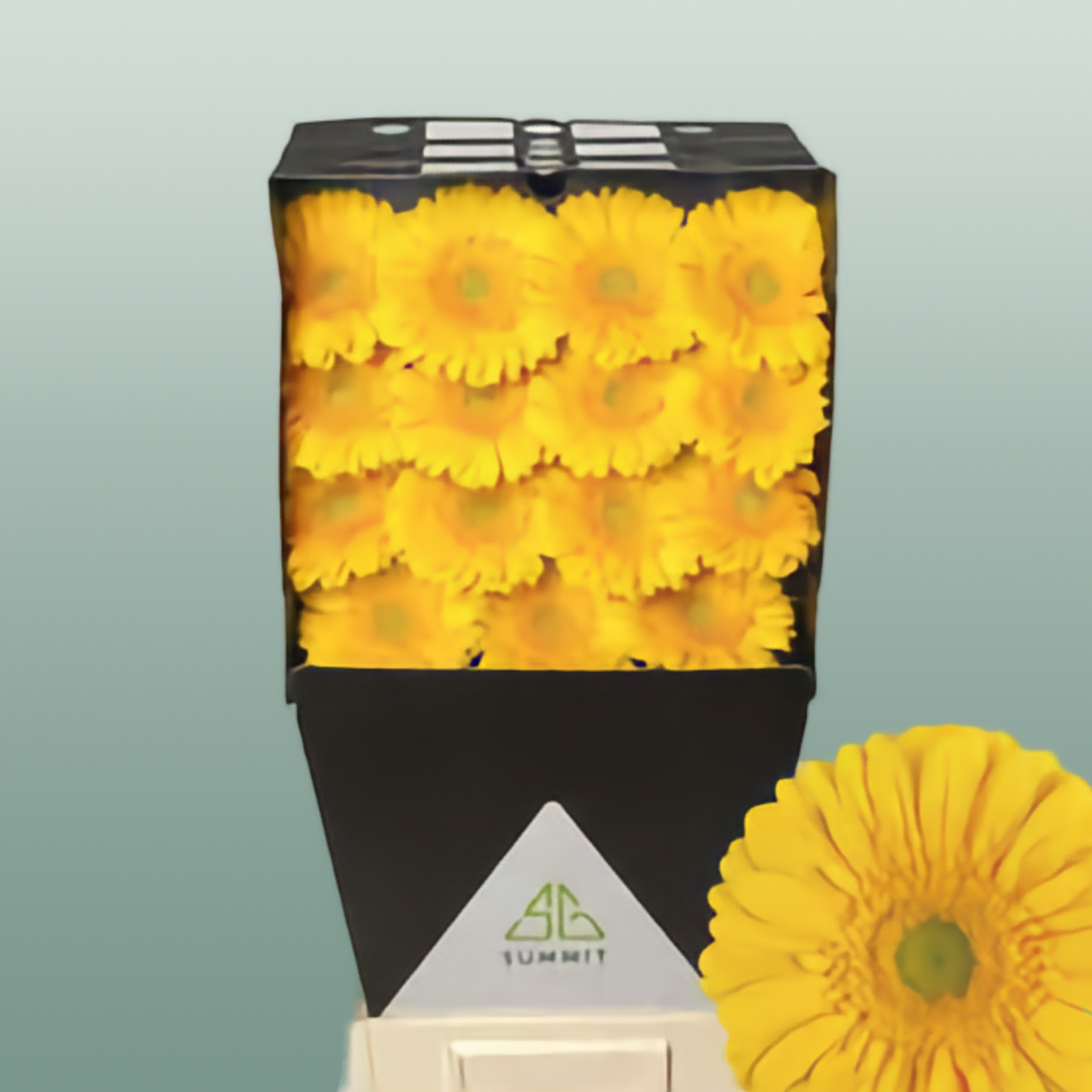 Gerbera Large Submarine