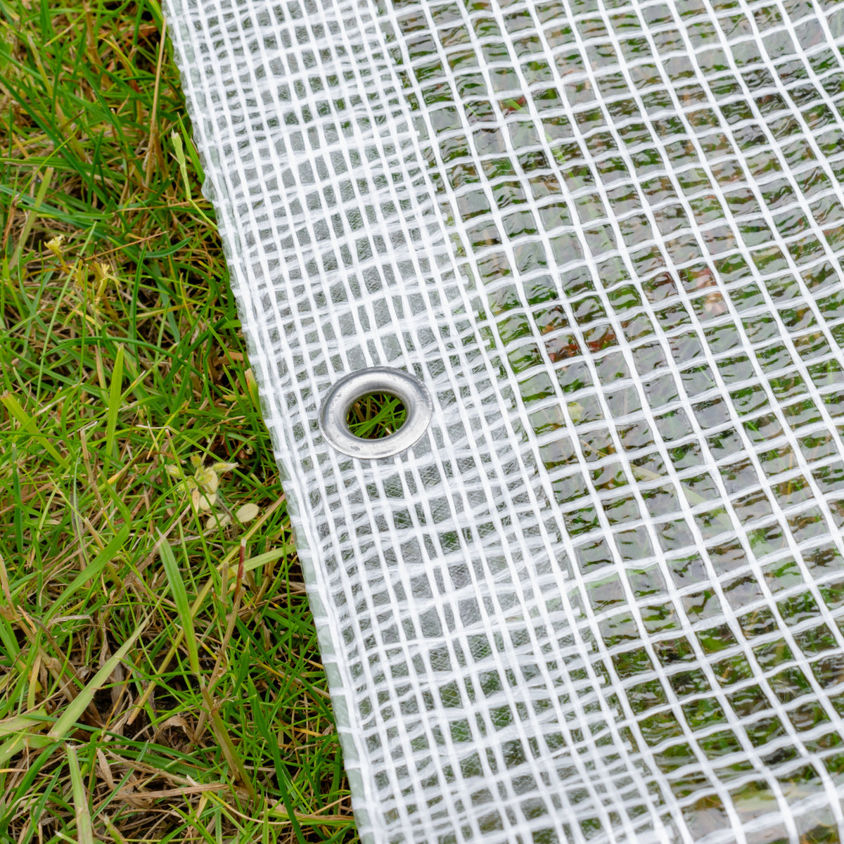 Clear M-Grade Tarpaulin with 20 x 4" Bungee Balls (White)
