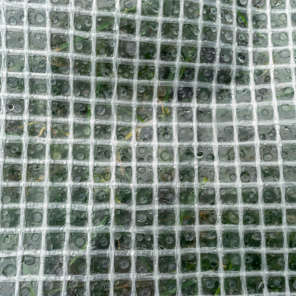 Clear XL-Grade Tarpaulin with 20 x 4" Bungee Balls (White)