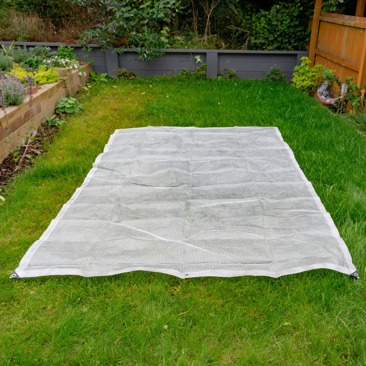 Clear XL-Grade Tarpaulin with Bungee Balls (Black)