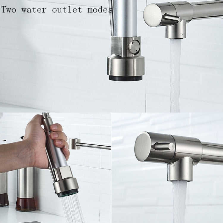 Copper And Nickel Brushed Double Outlet Spring Faucet Rotatable Kitchen Hot And Cold Water Faucet, Specification: Brushed