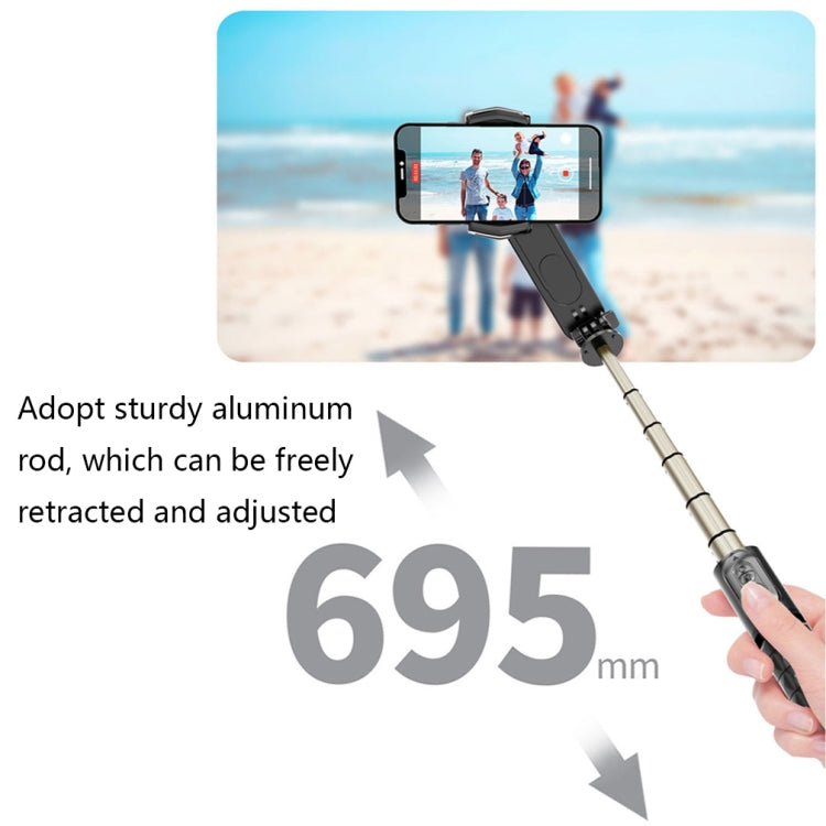 Removable Fill Light Phone Handheld Stabilizer with APP