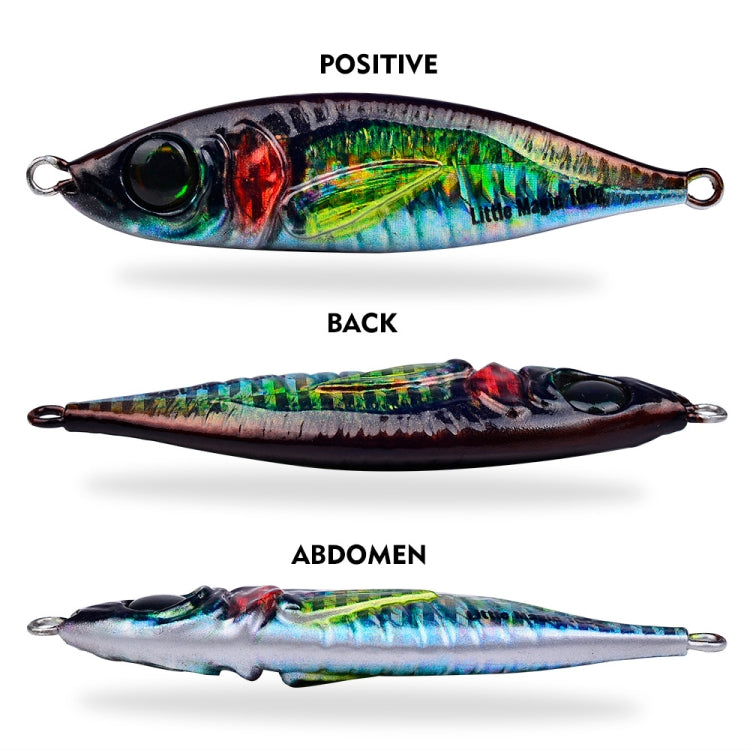PROBEROS LF137 3D Spray Painted Bionic Lure Warp Bass Leader Fish Long Casting Freshwater Sea Luminous Fishing Bait, Size: 200g(Color C)