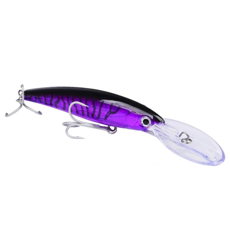 PROBEROS DW627 Long-Distance Casting Large Minnow Lure Fishing Bionic Bait, Style: C(19.5cm/50g)