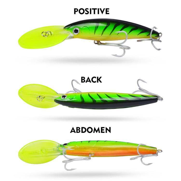 PROBEROS DW627 Long-Distance Casting Large Minnow Lure Fishing Bionic Bait, Style: C(19.5cm/50g)