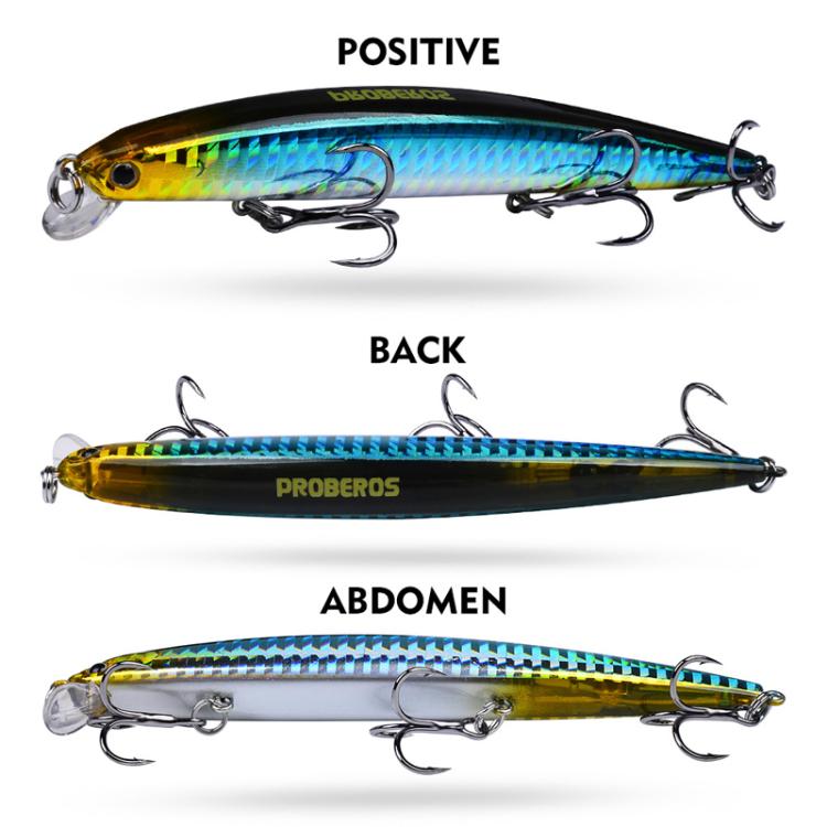 PROBEROS DW622 12.5cm-16g Submerged Minnow Lure All-Purpose Sea Fishing Plastic Bionic Hard Bait(C)