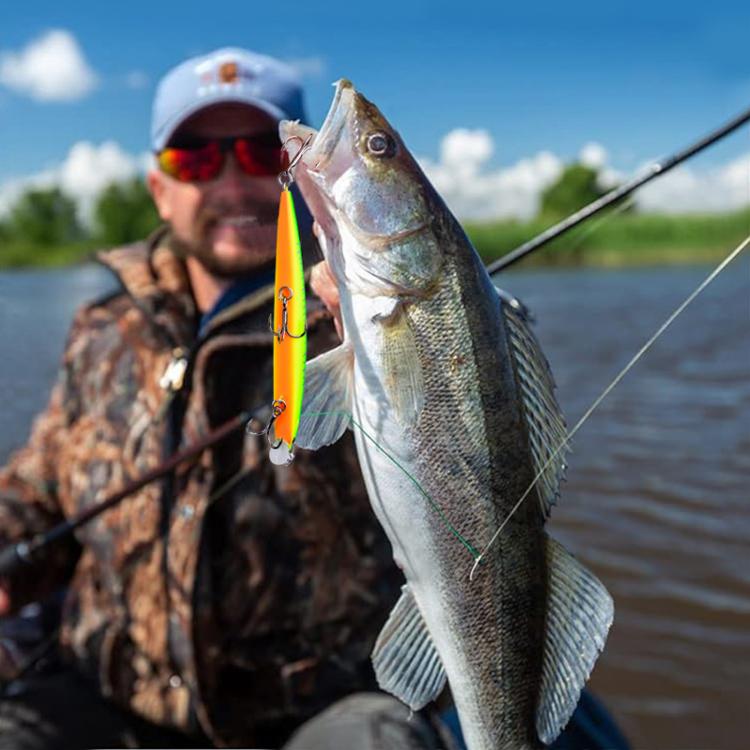 PROBEROS DW622 12.5cm-16g Submerged Minnow Lure All-Purpose Sea Fishing Plastic Bionic Hard Bait(D)
