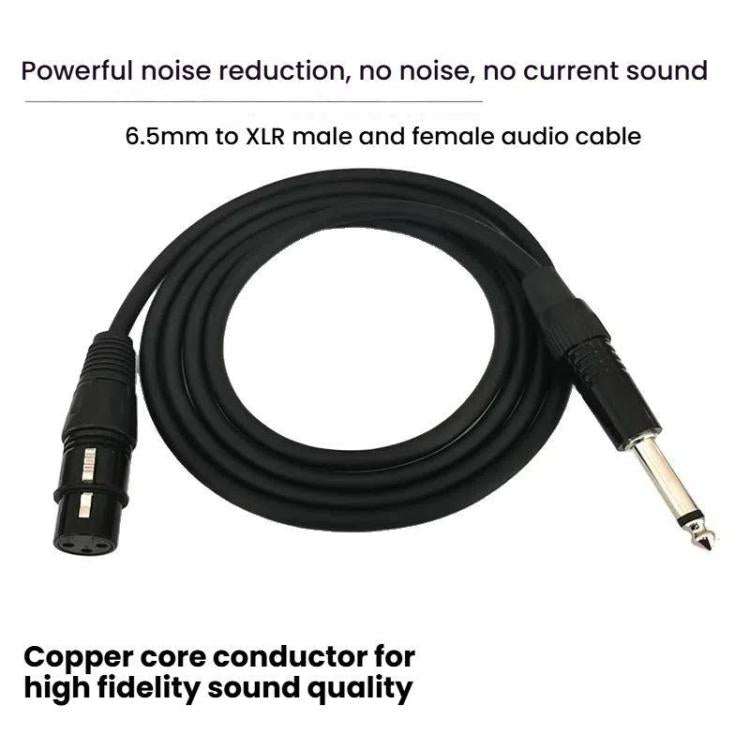 VEGGIEG 3Pin XLR Speaker Loudspeaker Cable Mixer Audio Microphone Cable, Length: 20m(6.5mm To XLR Male)