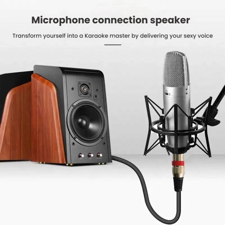 VEGGIEG 3Pin XLR Speaker Loudspeaker Cable Mixer Audio Microphone Cable, Length: 1m(6.5mm To XLR Female)