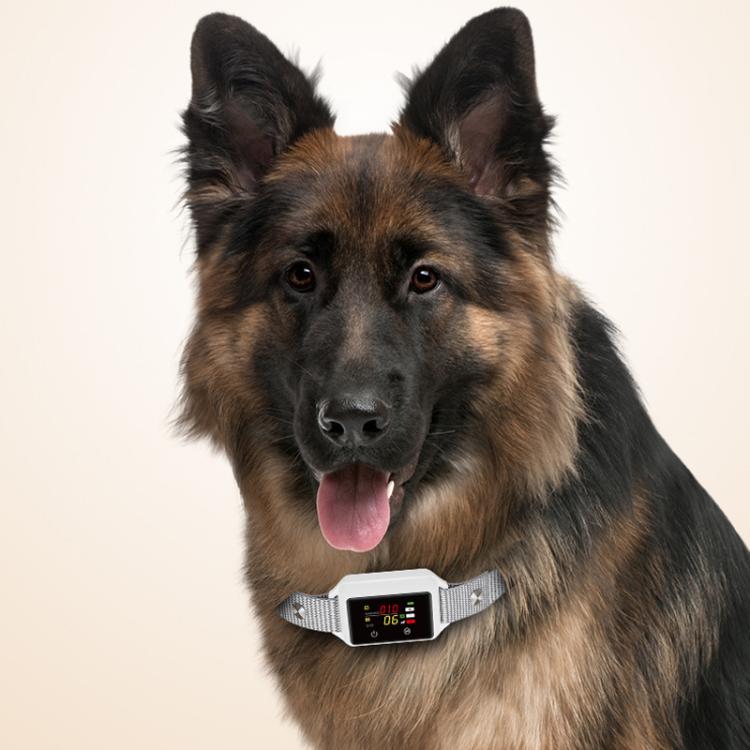 B800 Smart Anti-Bark Collar Electric Shock Dog Trainer With Color Screen & Anti-False Trigger, IP68 Waterproof, Magnetic Charging, Electric Shock Gray