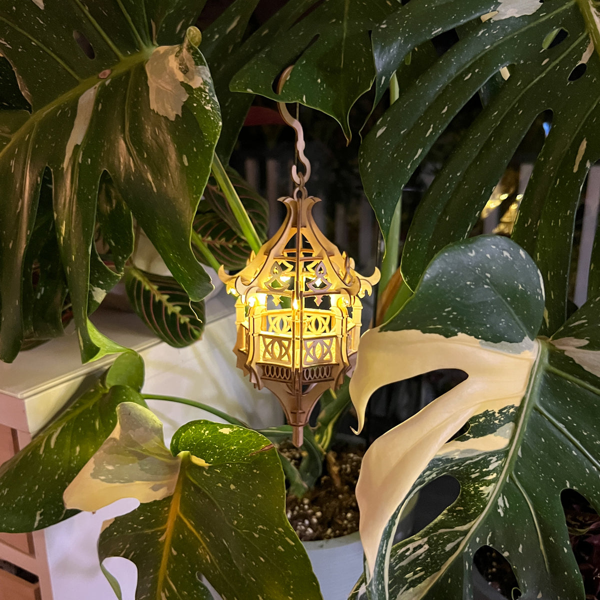 Summer Pavilion + Free USB Light