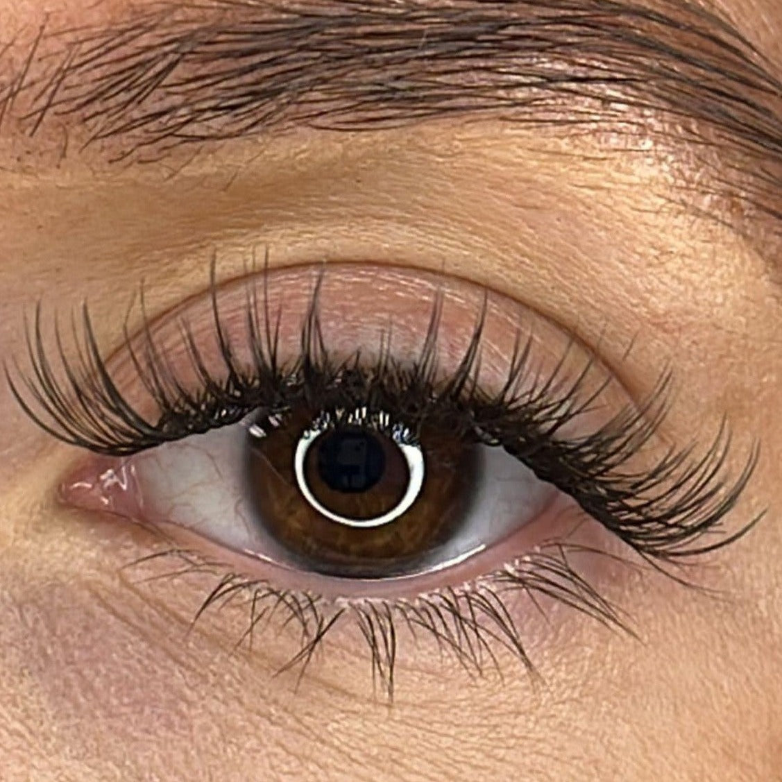 Tara - 'D' Curl 18mm  Lash Ribbons® Sale Item